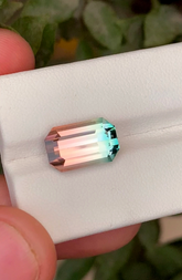 Presenting 6.70CT Exquisite Pink Blue Tourmaline, Premium Bi-Color Tourmaline