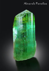 Natural Tourmaline Crystal, Green Color Tourmaline, Tourmaline Crystal From Afghanistan - 45 Gram
