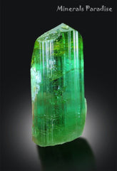Natural Tourmaline Crystal, Green Color Tourmaline, Tourmaline Crystal From Afghanistan - 45 Gram