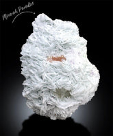 Natural Morganite Specimen with Microlite, Quartz and Cleavlandite Albite, Morganite Crystal from Afghanistan, 2063 gram