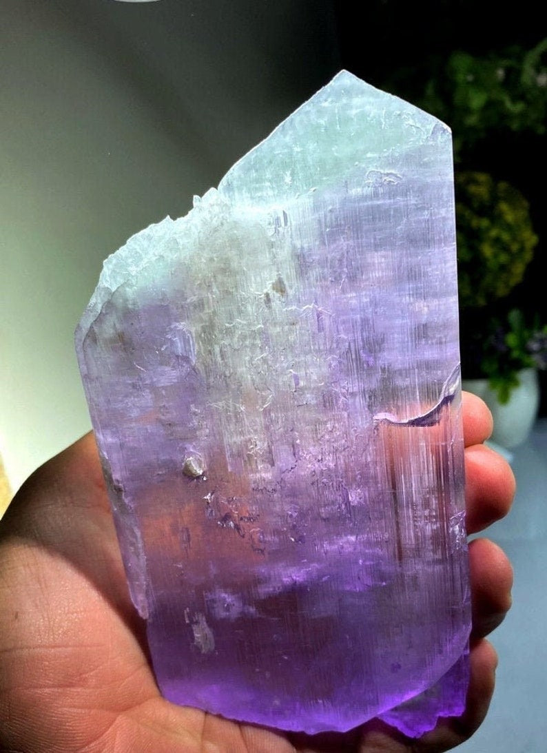 Bicolor Kunzite, Kunzite Crystal, Natural Kunzite, Healing Crystal Kunzite Gemstone, Kunzite Stone From Afghanistan 624 Gram , 165*86*17 mm
