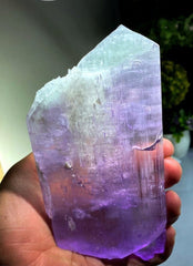 Bicolor Kunzite, Kunzite Crystal, Natural Kunzite, Healing Crystal Kunzite Gemstone, Kunzite Stone From Afghanistan 624 Gram , 165*86*17 mm