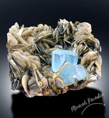 Natural Aquamarine Crystals with Muscovite Mica, Aquamarine Cluster, Aquamarine Specimen, Aquamarine for sale, 1441 gram