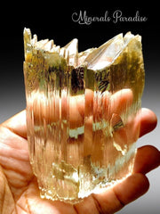 Natural Yellow Kunzite, Triphane Kunzite Crystal with Complex Terminations - 234 Gram