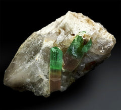 Tourmaline Specimen, Natural Tourmaline, Bicolor Tourmaline Crystal with Quartz from Laghman - 241 Gram , 77*65*45 mm