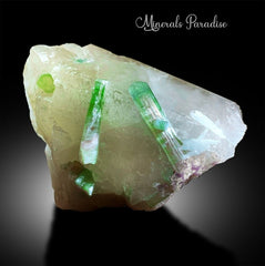 Watermelon Tourmaline Crystals with Lepidolite, Tourmaline on Qyartz, Natural Tourmaline, Mineral Specimen 697 g