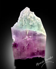 Bi-color Kunzite Crystal with Phantom, Natural Kunzite, Kunzite Stone, Pink Kunzite, Kunzite Rough, Kunzite Specimen 287 Gram
