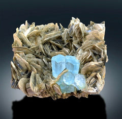 Natural Aquamarine Crystals with Muscovite Mica, Aquamarine Cluster, Aquamarine Specimen, Aquamarine for sale, 1441 gram