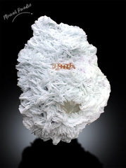 Natural Morganite Specimen with Microlite, Quartz and Cleavlandite Albite, Morganite Crystal from Afghanistan, 2063 gram