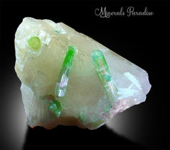 Watermelon Tourmaline Crystals with Lepidolite, Tourmaline on Qyartz, Natural Tourmaline, Mineral Specimen 697 g