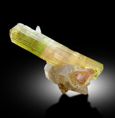 Natural Watermelon Tourmaline Crystal with Quartz, DT Tourmaline & DT Quartz, Paproke Tourmaline, Tourmaline Specimen - 67.50 CT