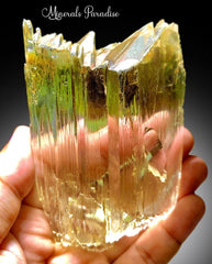 Natural Yellow Kunzite, Triphane Kunzite Crystal with Complex Terminations - 234 Gram