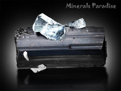 Aquamarine Crystal on Tourmaline, Natural Aquamarine, Black Tourmaline, Aquamarine Specimen, Aquamarine For Sale 132 g