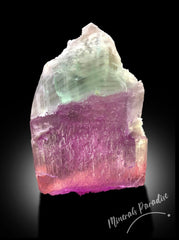 Bi-color Kunzite Crystal with Phantom, Natural Kunzite, Kunzite Stone, Pink Kunzite, Kunzite Rough, Kunzite Specimen 287 Gram