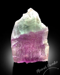 Bi-color Kunzite Crystal with Phantom, Natural Kunzite, Kunzite Stone, Pink Kunzite, Kunzite Rough, Kunzite Specimen 287 Gram