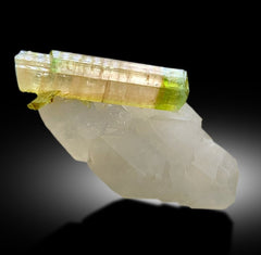 Natural Bicolor Tourmaline Crystal on Quartz, Tourmaline Specimen, Raw Mineral, Tourmaline from Paprok Afghanistan - 36 gram
