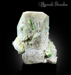 Bi-Color Tourmaline Crystal, Natural Tourmline, Tourmaline Crystal on Microcline Feldspar Albite From Paprok 821 Gram