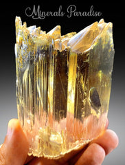 Natural Yellow Kunzite, Triphane Kunzite Crystal with Complex Terminations - 234 Gram