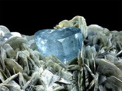 Natural Aquamarine Crystals with Muscovite Mica, Aquamarine Specimen, Aquamarine Cluster, Aquamarine Bunch, Mineral Specimen, 516 G