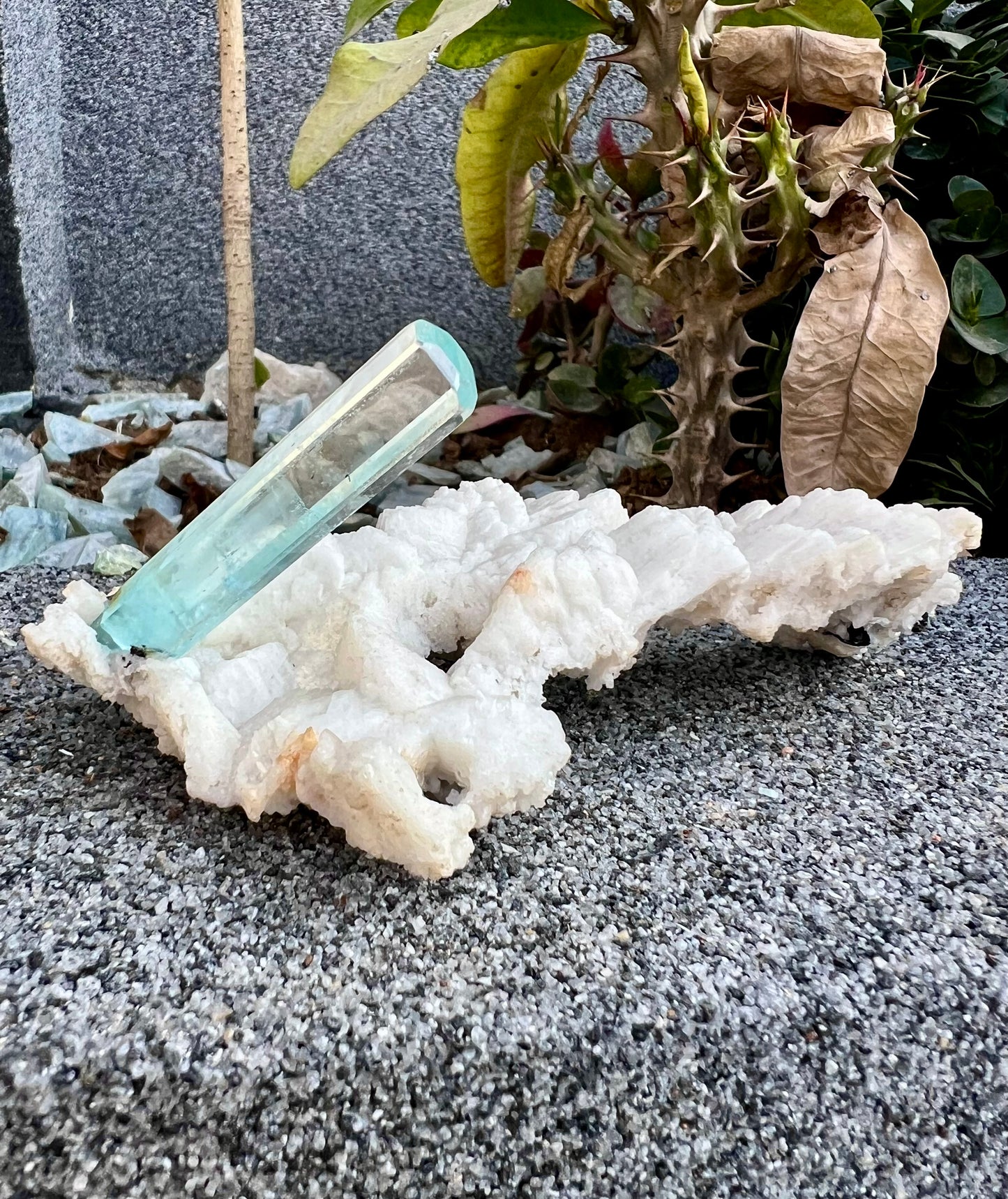 Aquamarine crystal on Albite from Pakistan, 107 gram