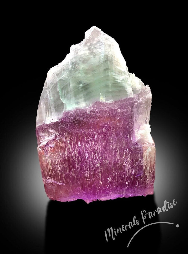 Bi-color Kunzite Crystal with Phantom, Natural Kunzite, Kunzite Stone, Pink Kunzite, Kunzite Rough, Kunzite Specimen 287 Gram
