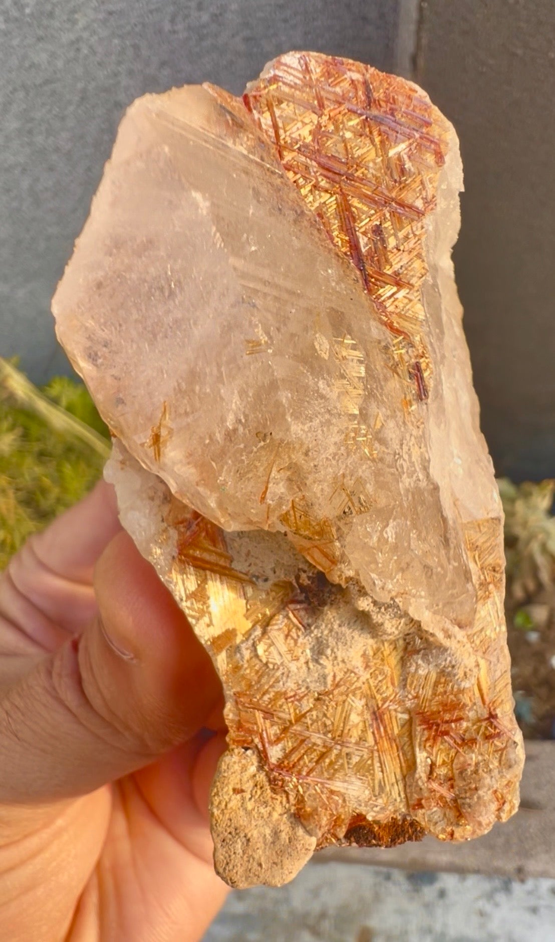 Sagenite Rutile on Quartz Crystal Specimen, Pakistan, 199 gram