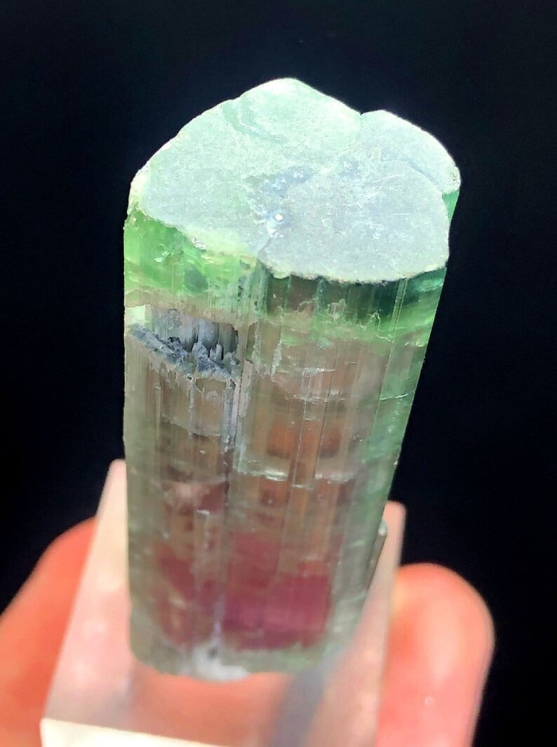 Tourmaline Crystal, Bicolor Tourmaline, Tourmaline for sale, Terminated Tourmaline crystal, Paprok Tourmaline, Raw Tourmaline, 44 gram