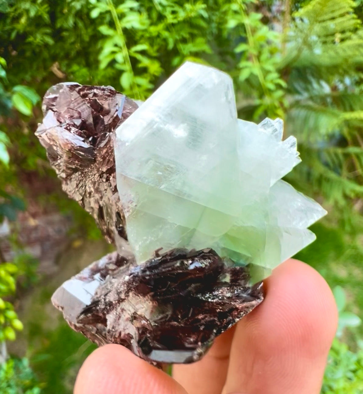 Axinite crysals with Pericline from Pakistan, 58 gram