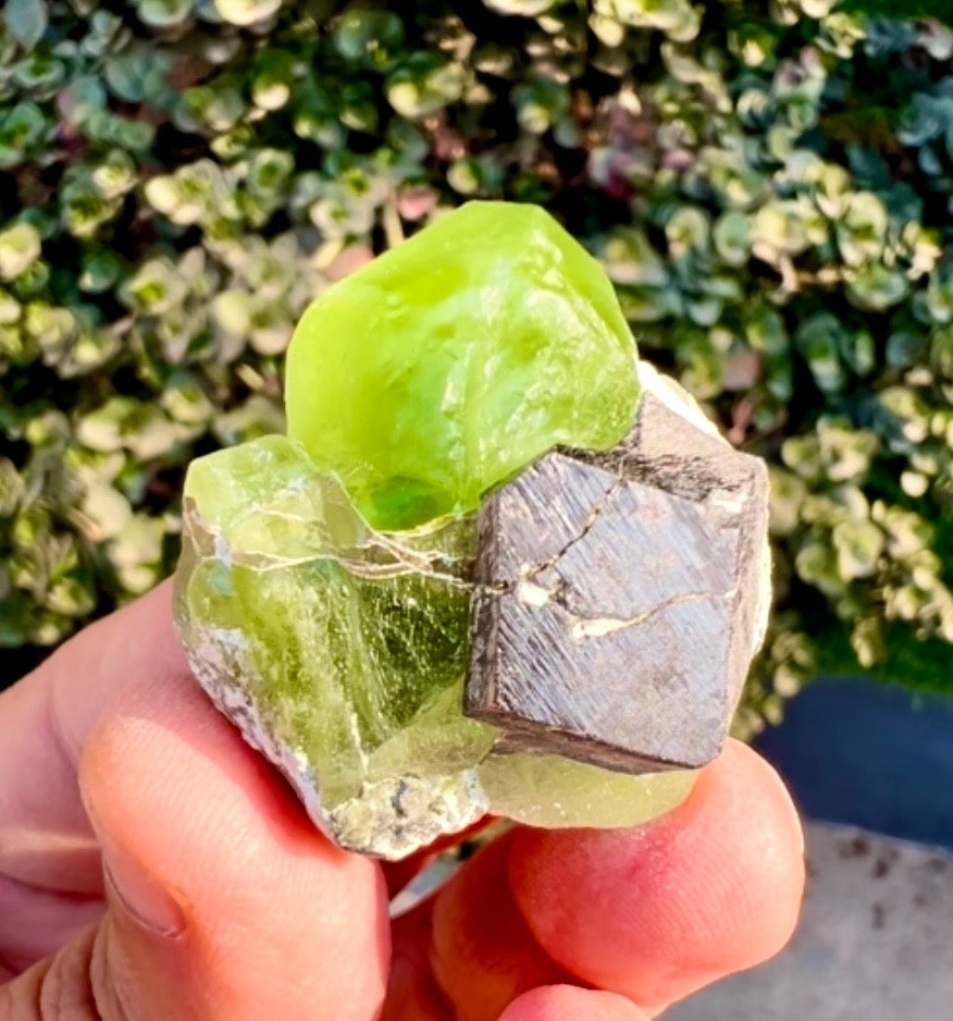 Peridot with Magnetite specimen from Pakistan, 28 gram