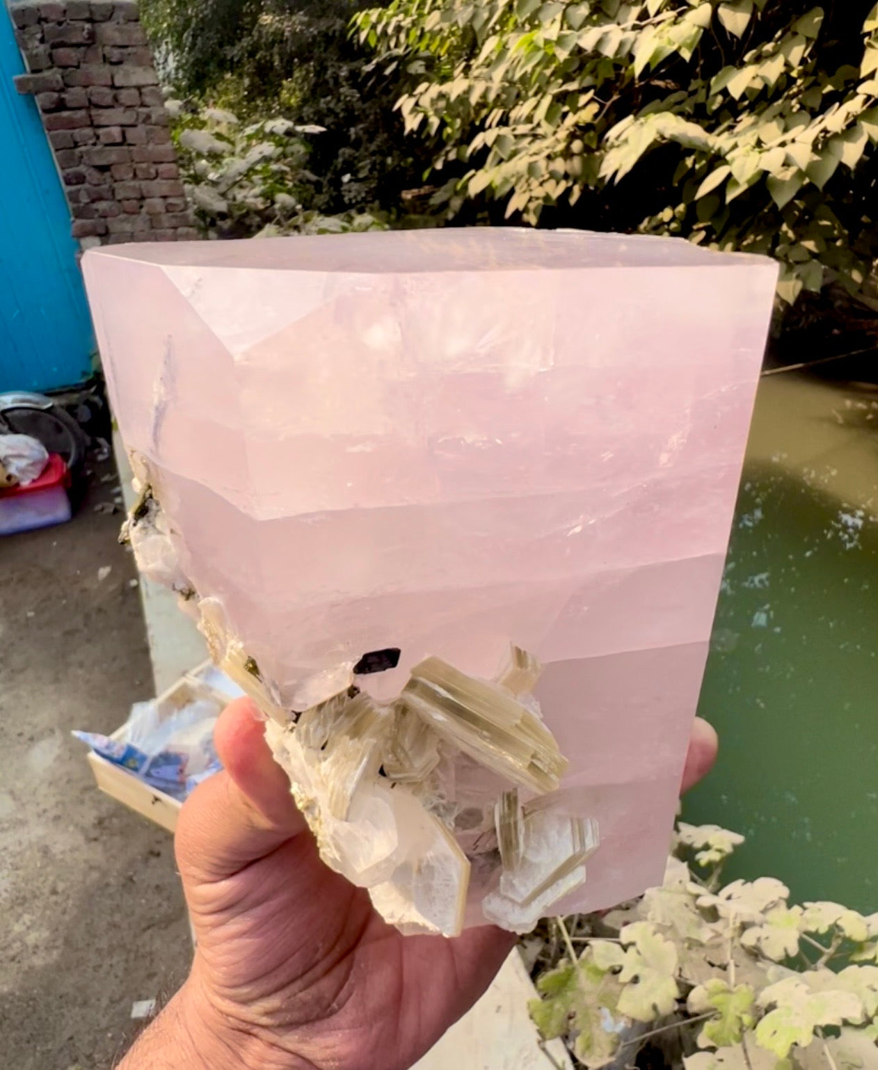 Pink Morganite crystal with Tourmalines and Mica from Pakistan, 2339 gram