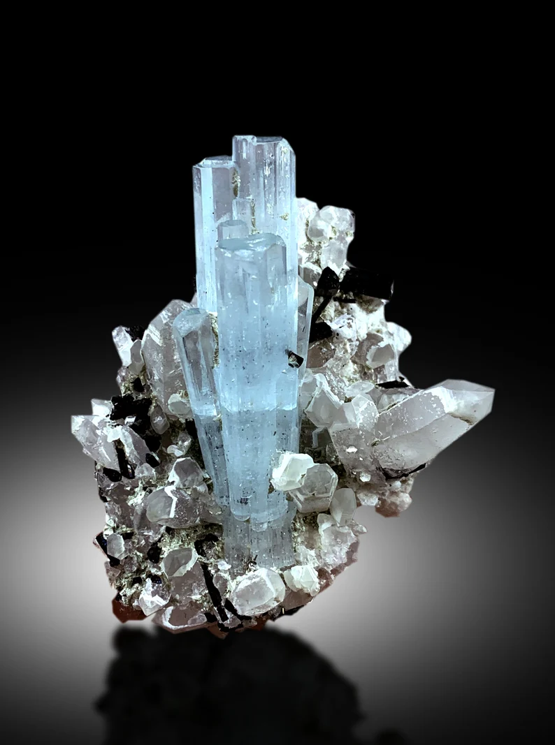 Quartz crystal cluster beside aquamarine and schorl
Collector grade aquamarine specimen from Skardu
Aquamarine crystal lighting and transparency detail
Natural terminated crystal free of chips or damage
Aquamarine schorl quartz mineral specimen full view
60 gram aquamarine crystal complete profile
Small gem grade aquamarine from Shigar Valley