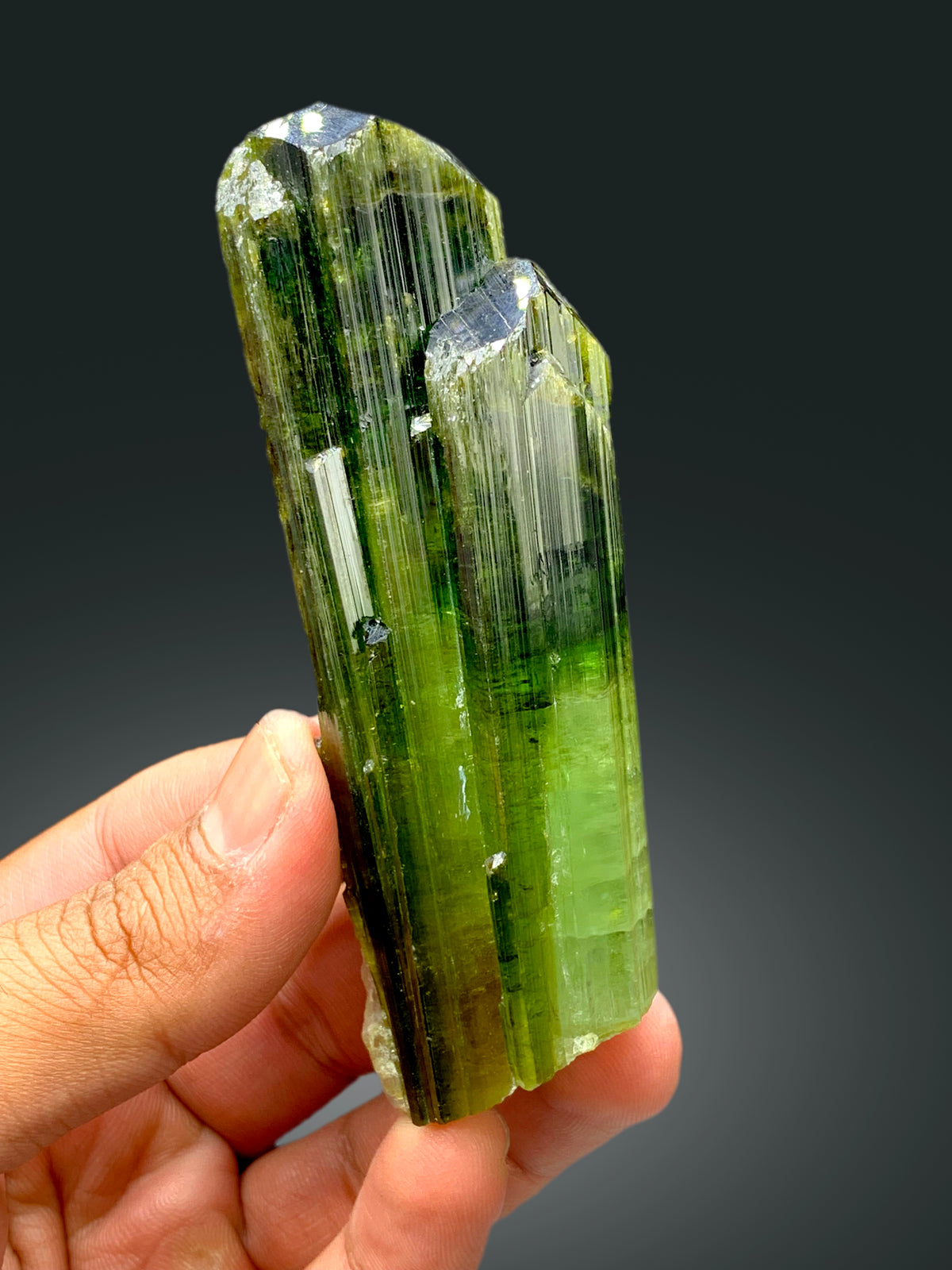 Green tourmaline crystal showing natural color
Terminated tourmaline specimen, full profile view
Natural green tourmaline crystal, angled display view