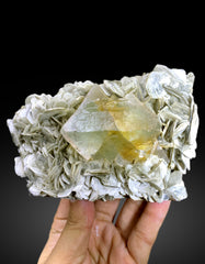 Natural Bicolor Fluorite on Muscovite Mica from Nagar valley Pakistan - 710 gram