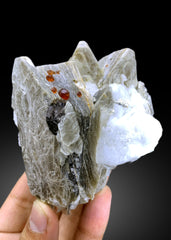 Red Spessartine Garnet Crystals on Mica from Pakistan - 360 gram