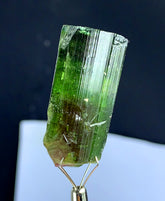 Natural Bicolor Tourmaline Crystal from Congo - 118.45 carat