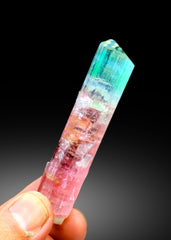 Collectors Choice Bicolor Tourmaline Crystal from Dara-i-Pech Afghanistan - 55 gram