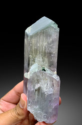 Exquisite Bicolor Kunzite with Indicolite Tourmalines from Afghanistan - 563 gram