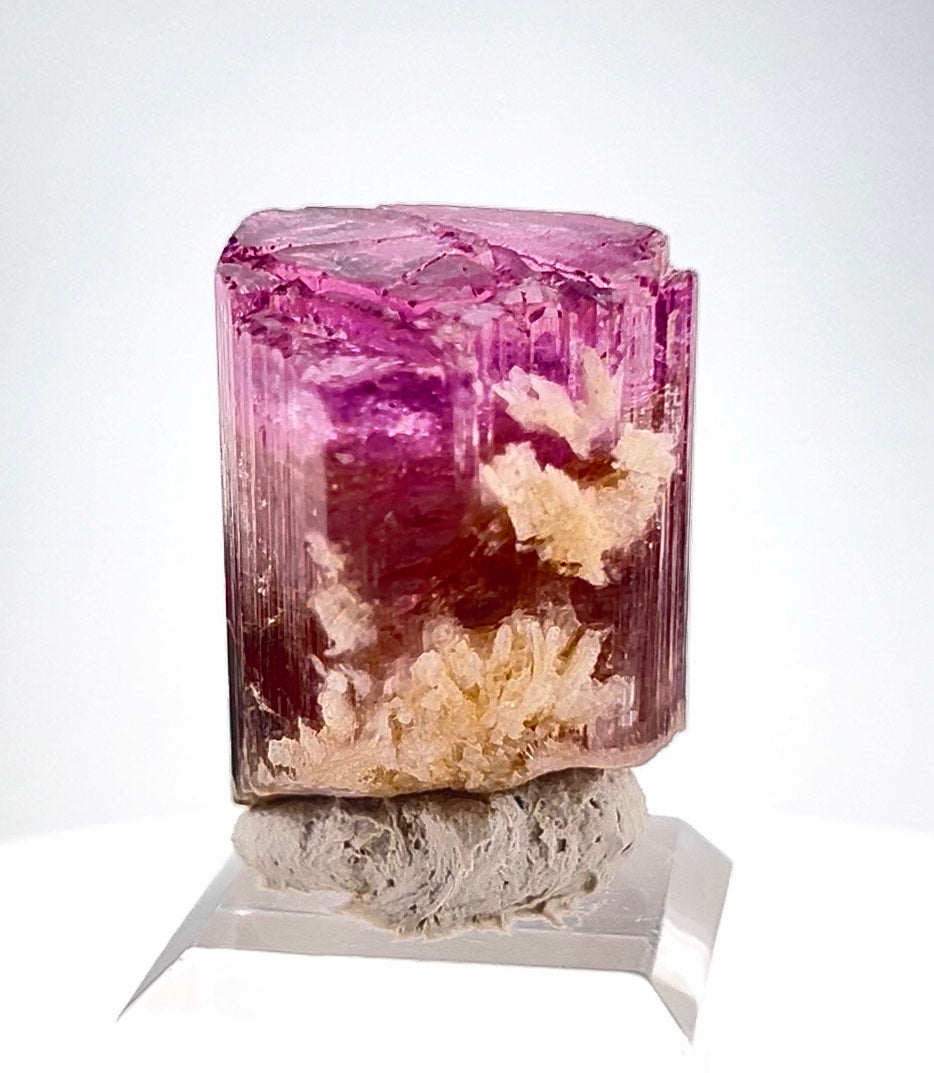 Tricolor Tourmaline Crystal from Afghanistan - 22.2 Gram
