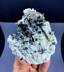 Bicolor Tourmaline Cluster on Albite from Afghanistan - 259 gram