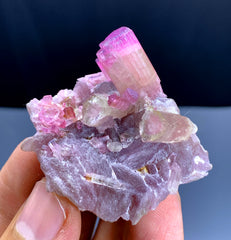 Pink Tourmaline Crystals on Lepidolite from Pachigram Afghanistan - 31 gram