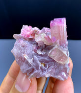 Pink Tourmaline Crystals on Lepidolite from Pachigram Afghanistan - 31 gram