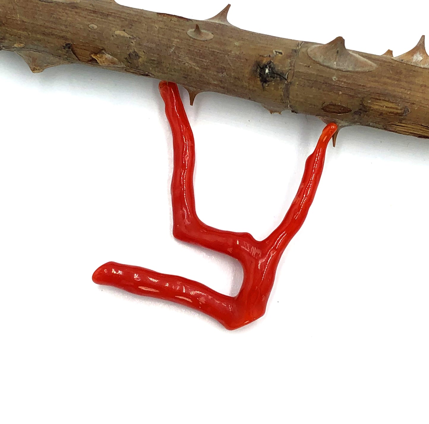 Tree Shape Mediterranean Red Coral, Making jewellery Branch, Natural Shape Coral Lop, Not Dyed, 100% Natural