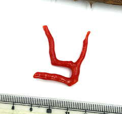 Tree Shape Mediterranean Red Coral, Making jewellery Branch, Natural Shape Coral Lop, Not Dyed, 100% Natural