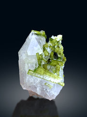 Lush Green Tourmaline Cluster on Quartz from Chapu Mine Skardu Pakistan - 227 gram