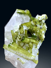 Lush Green Tourmaline Cluster on Quartz from Chapu Mine Skardu Pakistan - 227 gram