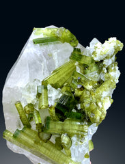 Lush Green Tourmaline Cluster on Quartz from Chapu Mine Skardu Pakistan - 227 gram