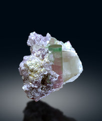 Bicolor Tourmaline Crystals with Quartz on Lepidolite from Afghanistan - 335 gram