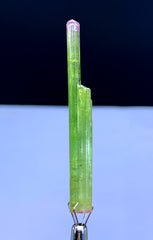 Natural Bicolor Lipstick Tourmaline Crystal from Paprok Afghanistan - 20.95 carat
