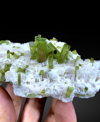 Watermelon Tourmaline Crystals on Feldspar from Afghanistan - 146 gram