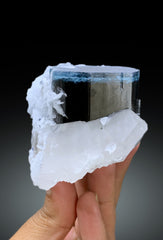 Blue Cap Tourmaline on Cleavelandite Albite and Quartz from Paprok Afghanistan - 455 gram